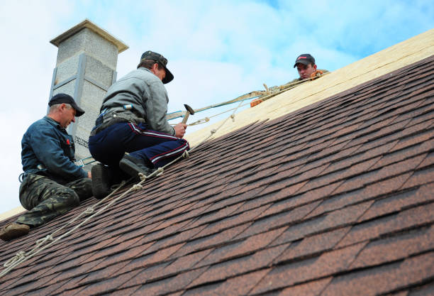 Best Affordable Roofing Company  in Bellevue, WA